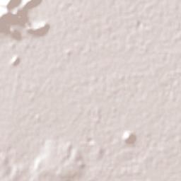 Santa María Magdalena Ocotitlán Terrain Map