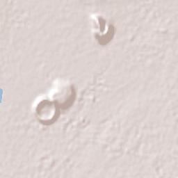 Xico Terrain Map