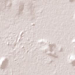 Santa Justina Ecatepec Terrain Map