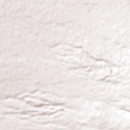 San Pedro Muñoztla Terrain Map