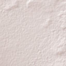 Máximo Serdán Terrain Map