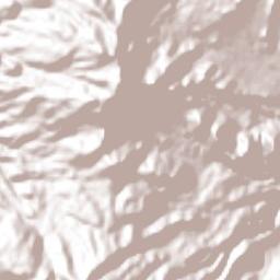 Francisco I. Madero Terrain Map
