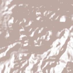 El Carmen Terrain Map
