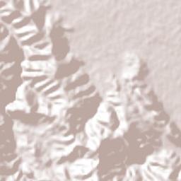 Concepción de La Vega Terrain Map