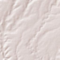 Felipe Carrillo Puerto Terrain Map