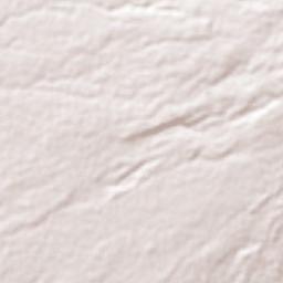 San Isidro Buen Suceso Terrain Map