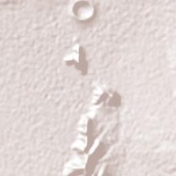 Guadalupe Libertad Terrain Map