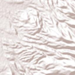 Cuauhtémoc Terrain Map