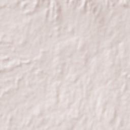 Delfino Victoria (Santa Fe) Terrain Map