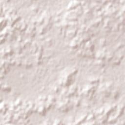 Carrillo Puerto Terrain Map