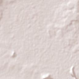 Cenobio Moreno Terrain Map