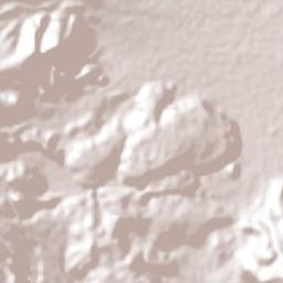 San Francisco Putla Terrain Map