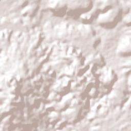 San Nicolás Coatepec Terrain Map