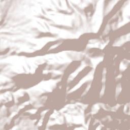 San Bartolo del Progreso Terrain Map