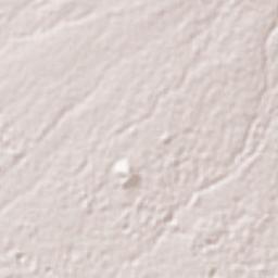 Villa Vicente Guerrero Terrain Map