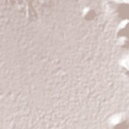 Apango de Zaragoza Terrain Map