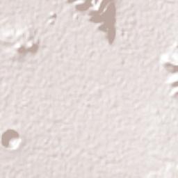 José María Morelos Terrain Map