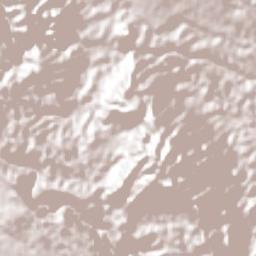 Presidio Terrain Map