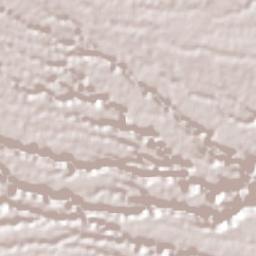 Zentla Terrain Map