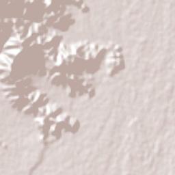 Rincón de López Terrain Map