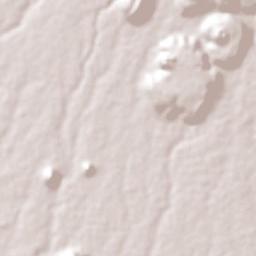 Antúnez Terrain Map
