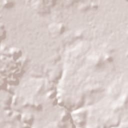 Acuexcomac Terrain Map