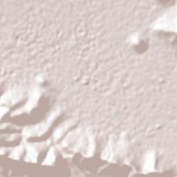 Santa María Nenetzintla Terrain Map