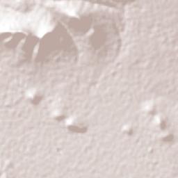 San Lorenzo Joya de Rodríguez Terrain Map