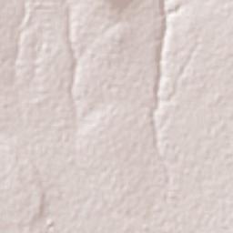 Acatzingo Terrain Map