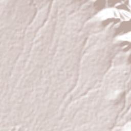 San Antonio Portezuelo Terrain Map