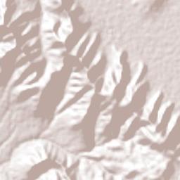 Santa Catarina Villanueva Terrain Map