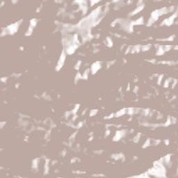 Tenixtepec Terrain Map