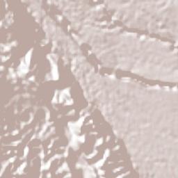 Ejido la Piña (Maromilla) Terrain Map