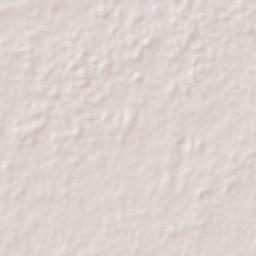 Medellín de Bravo Terrain Map