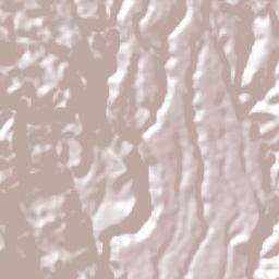 Acuitlapilco Terrain Map