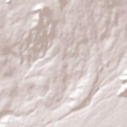 Colonia San Francisco Terrain Map