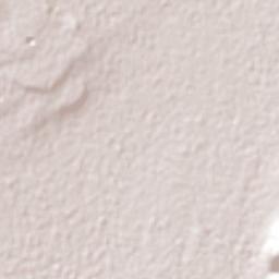 Actipan de Morelos Terrain Map