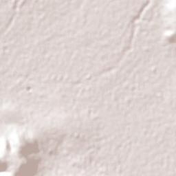 San Simón Terrain Map