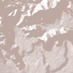 Moyoapan Terrain Map