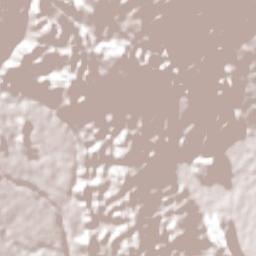 El Porvenir Terrain Map
