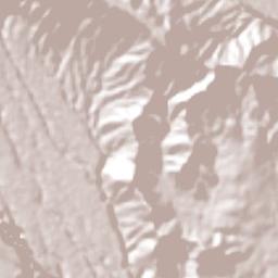 Tecomatepec Terrain Map