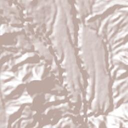 Ejido de la Finca Terrain Map