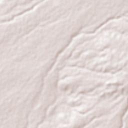 Tierra Larga (Campo Nuevo) Terrain Map