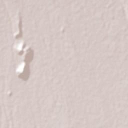 San Jerónimo Coyula Terrain Map