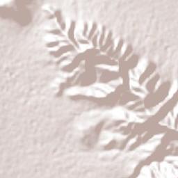 Tecamachalco Terrain Map