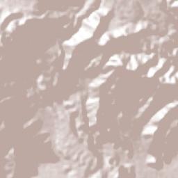 San José Súchil Terrain Map