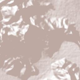 San Isidro Terrain Map