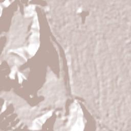 Veinte de Noviembre Terrain Map