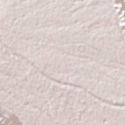 Ex-hacienda la Concepción Terrain Map