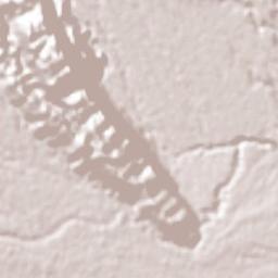 El Maguey Terrain Map